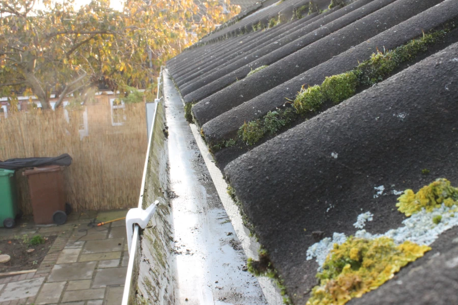 Gutter Cleaning Services for East Suffolk